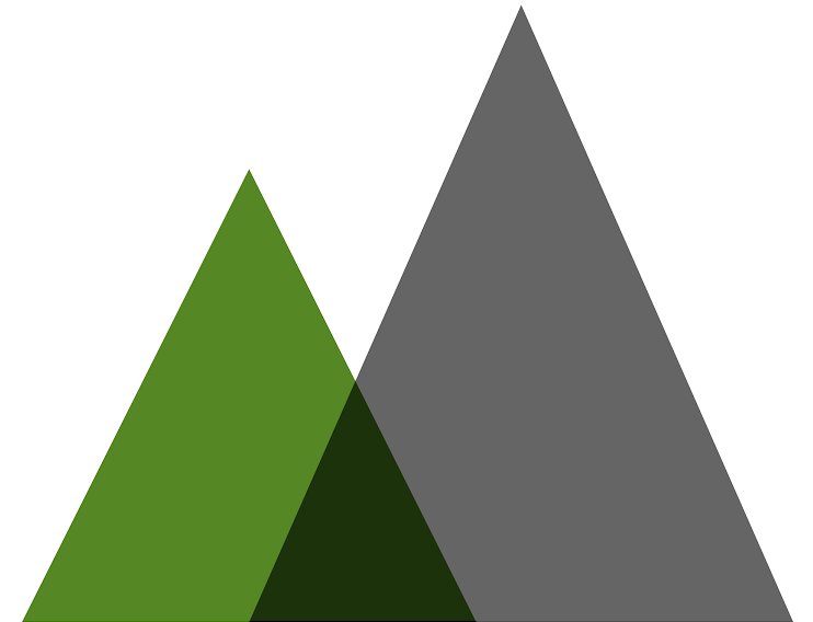 Guptill Technology Services